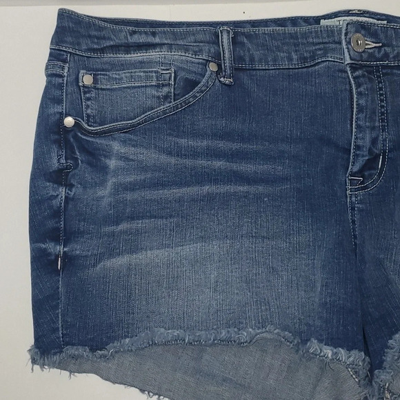 Torrid Medium Wash Frayed Denim Jean Shorts Women’s Size 24 - Picture 2 of 11